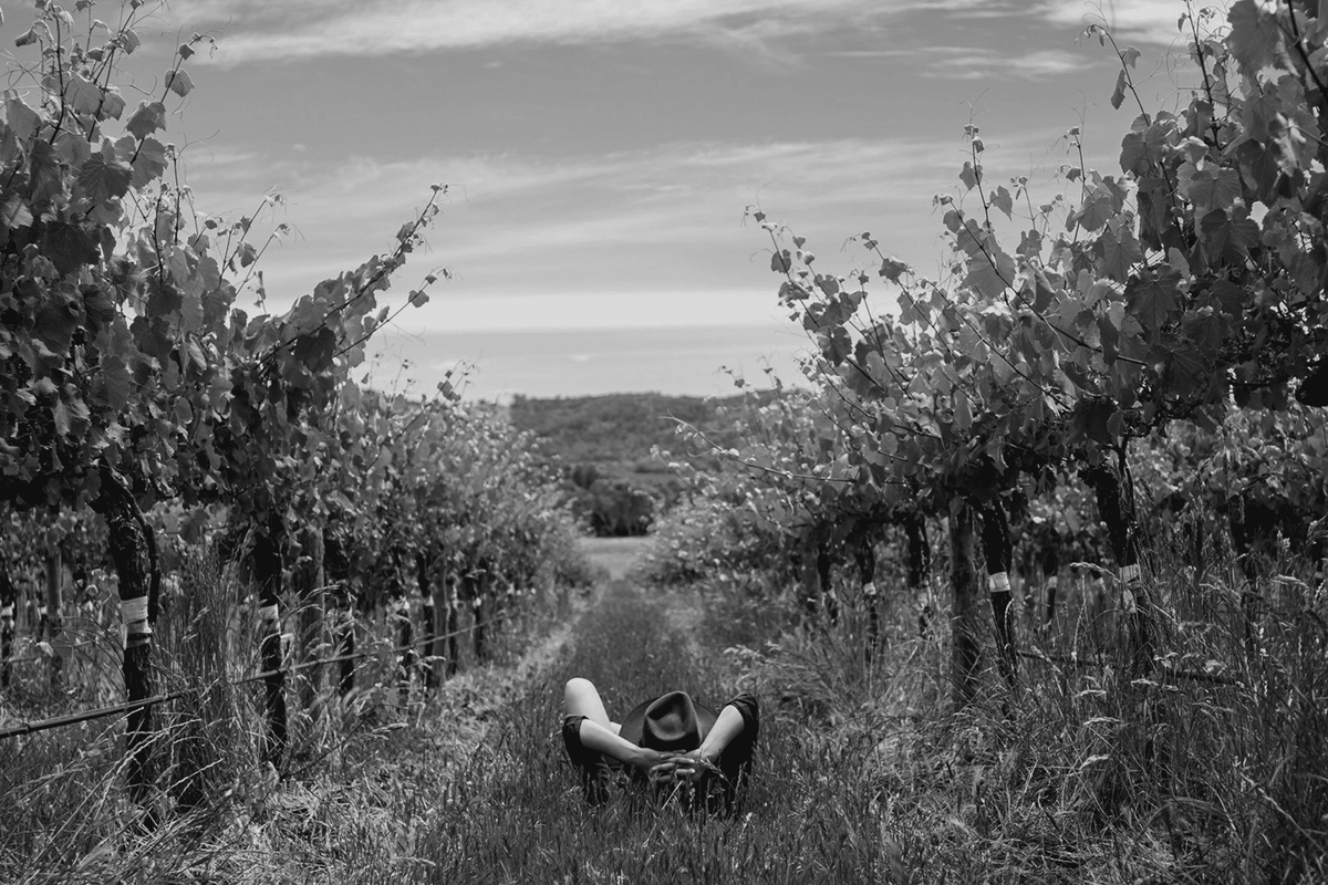 Why We Have Never Used Herbicides at Weathercraft