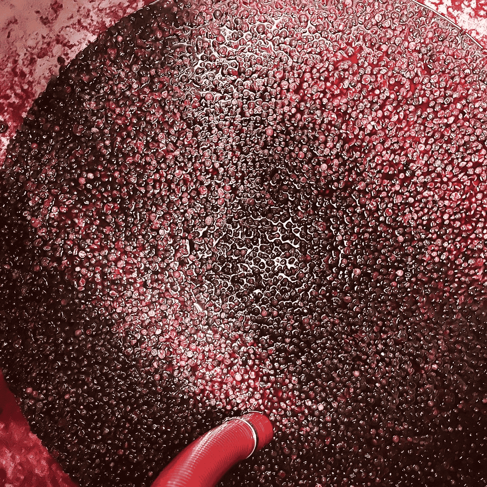 GSM completing ferment in amphora