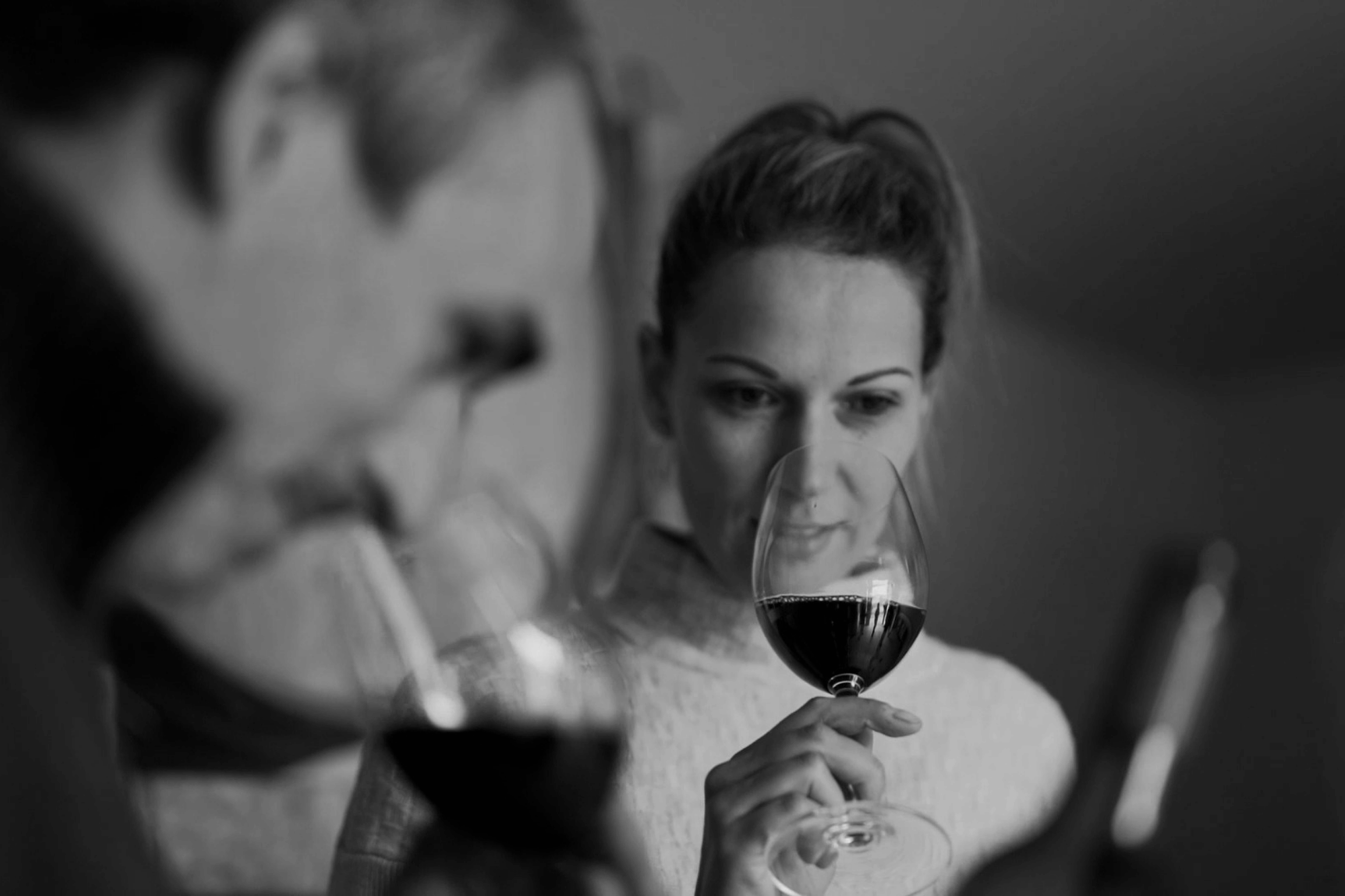 Weathercraft Cellar Door