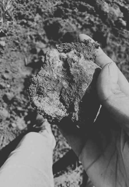 Grapes in hand - Beechworth granite soils
