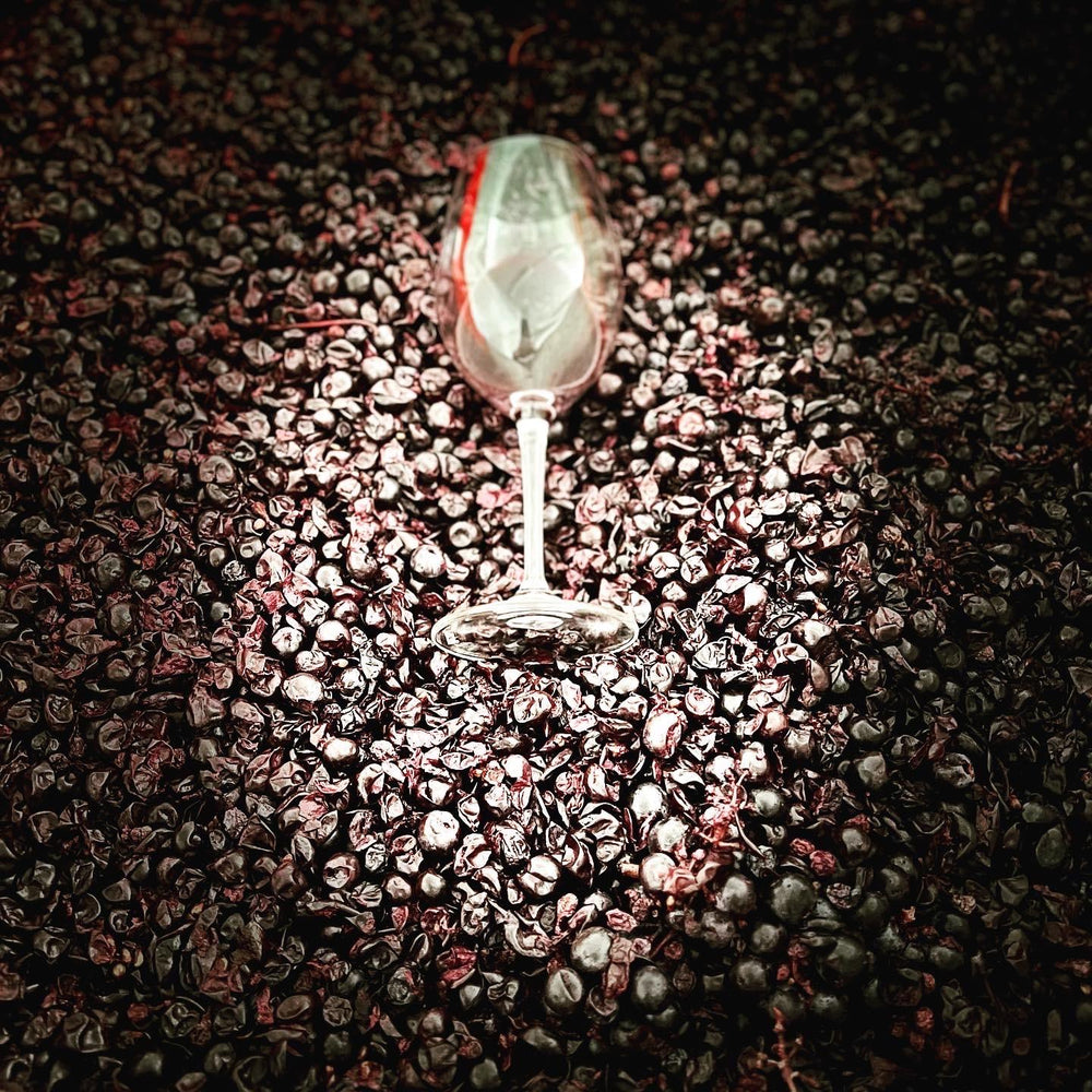 Extended masceration of our shiraz fruit